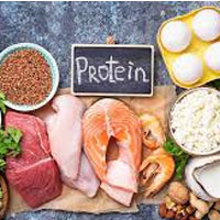 Protein foods